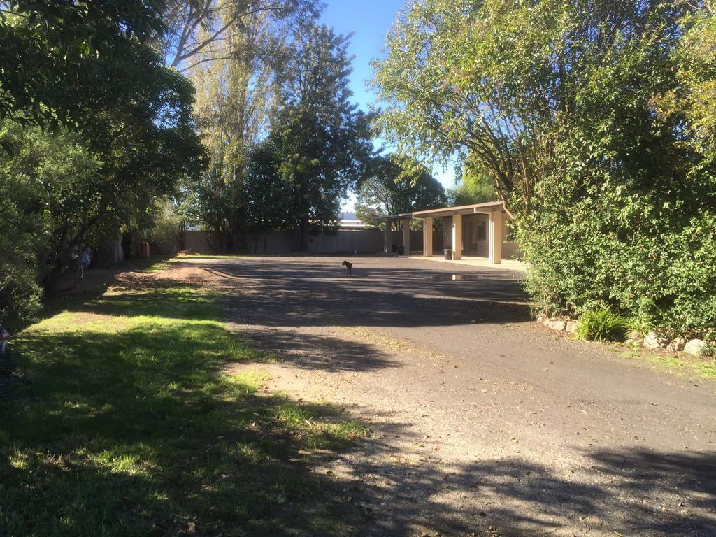 Murray Valley Motel Wodonga Buitenkant foto