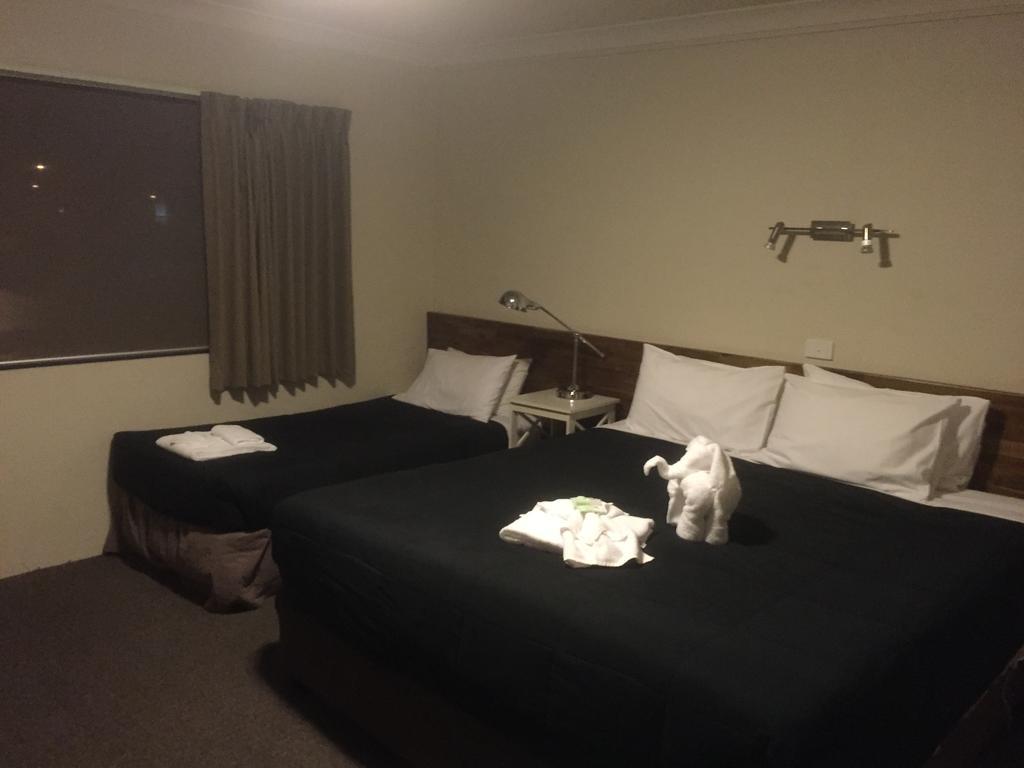 Murray Valley Motel Wodonga Buitenkant foto